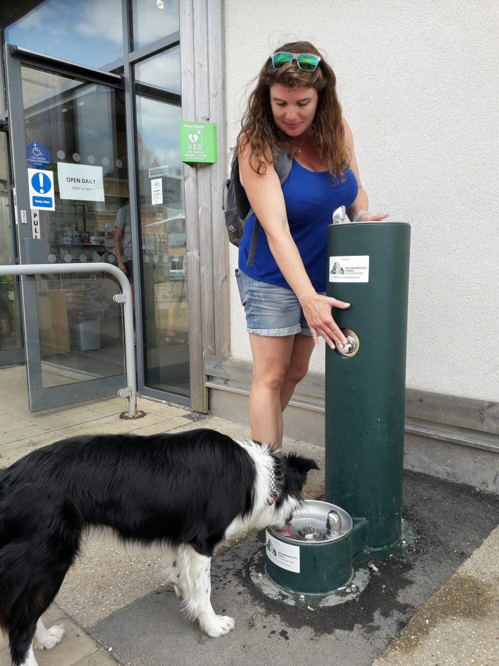 Dog drinking from fountain
